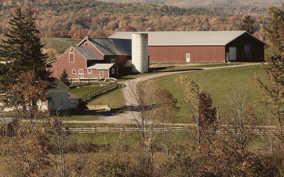 A white farmhouse beside red barns and a tall silo, a gravel drive curving past green pasture, wooded hills in fall color behind.
