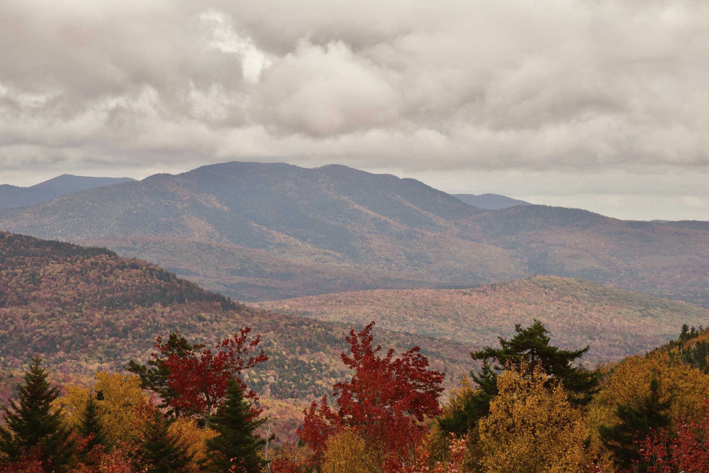 Autumn hills in peak color under a cloudy sky: red maples and dark spruce in front, blue wooded ridges behind.